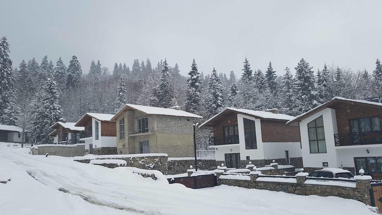 Villa In Mountains Bakuriani Exterior foto