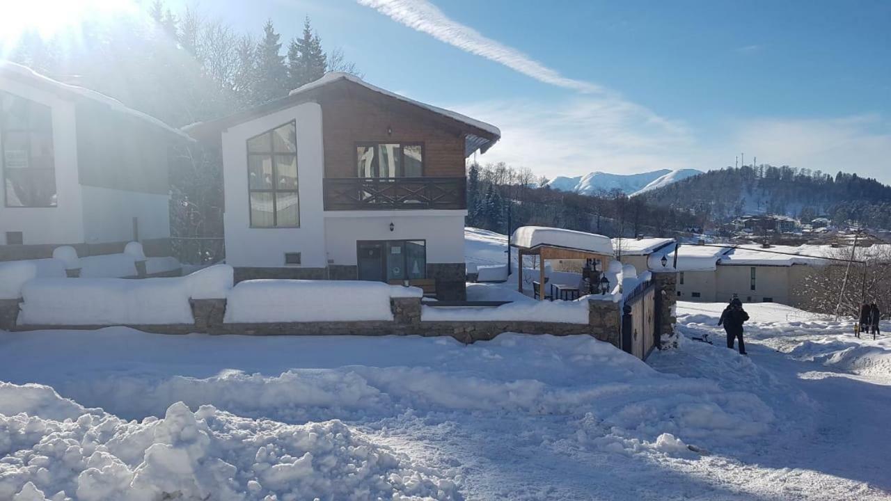 Villa In Mountains Bakuriani Exterior foto